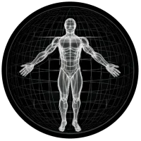 BodBot AI Workout Planner